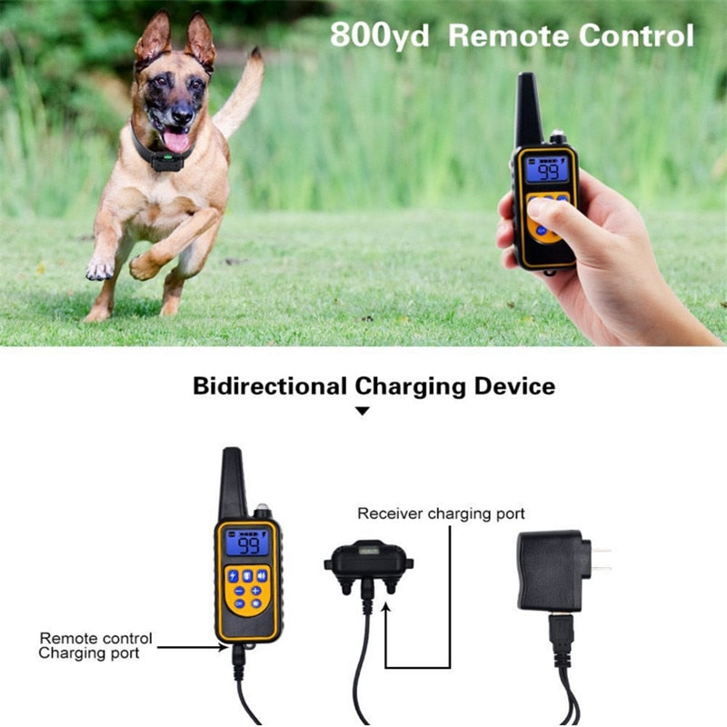 Electric Dog Training Collar Waterproof Rechargeable Remote Control - BestBuddyStore