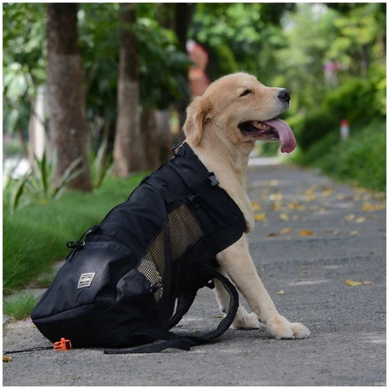Dog Backpack Carrier Hiking Bag - BestBuddyStore