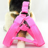 Pet Safety LED Harness Dog Flashing Light Harness LED Dog Harness