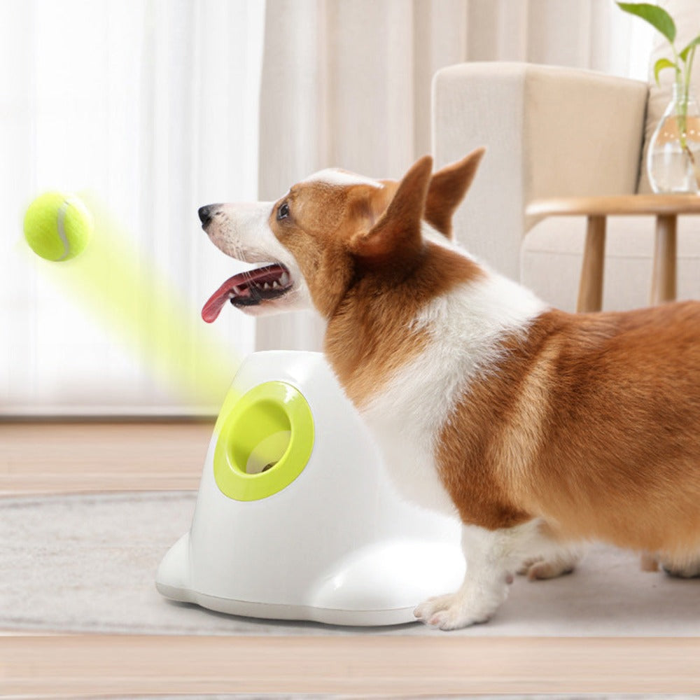 Automatic Throwing Dog Tennis Ball Launcher - BestBuddyStore