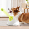 Automatic Throwing Dog Tennis Ball Launcher - BestBuddyStore