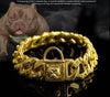 High-Quality Large Dog Gold Chain Collar | BestBuddyStore