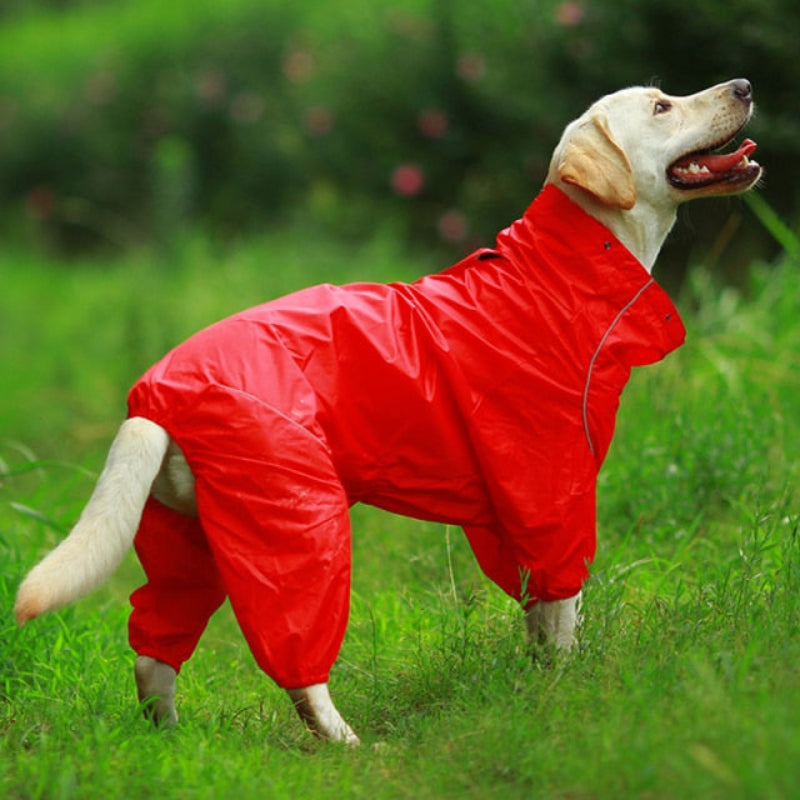 High Neck Hooded Waterproof Zipper Dog Reflective Raincoat | BestBuddy