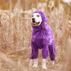 High Neck Hooded Waterproof Zipper Dog Reflective Raincoat | BestBuddy