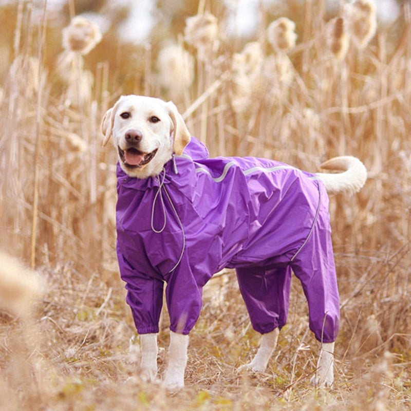 High Neck Hooded Waterproof Zipper Dog Reflective Raincoat | BestBuddy