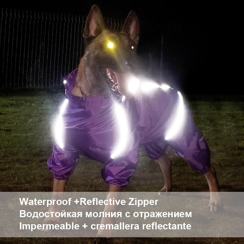 High Neck Hooded Waterproof Zipper Dog Reflective Raincoat | BestBuddy