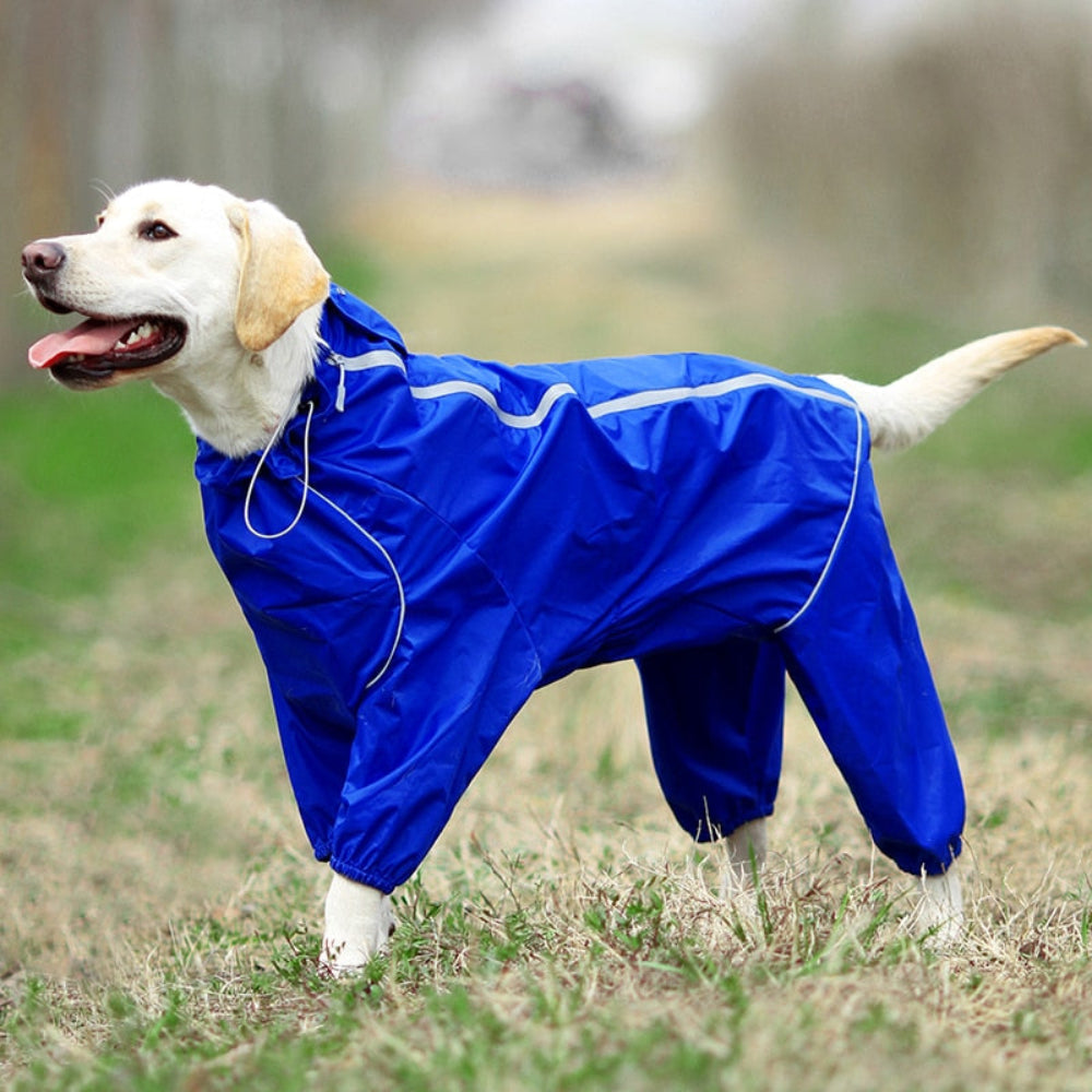 High Neck Hooded Waterproof Zipper Dog Reflective Raincoat | BestBuddy