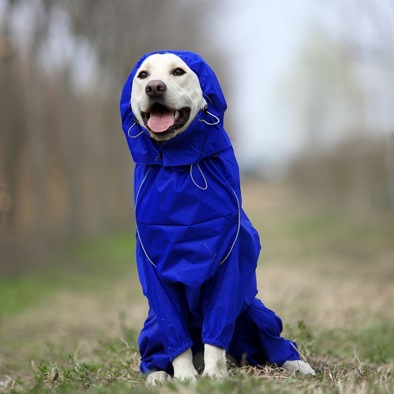 High Neck Hooded Waterproof Zipper Dog Reflective Raincoat | BestBuddy