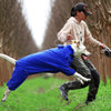 High Neck Hooded Waterproof Zipper Dog Reflective Raincoat | Best Buddy