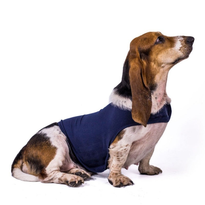 Stress Relief Anti Anxiety Calming Dog Vest | BestBuddy Store