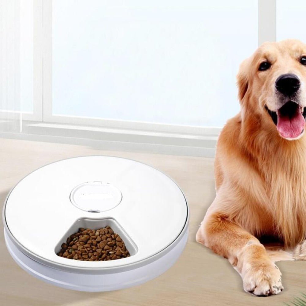 Automatic Feeder Dispenser With Voice Record Slow Feeder Dog Bowl - Best Buddy Store