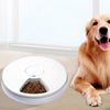 Automatic Feeder Dispenser With Voice Record Slow Feeder Dog Bowl - Best Buddy Store