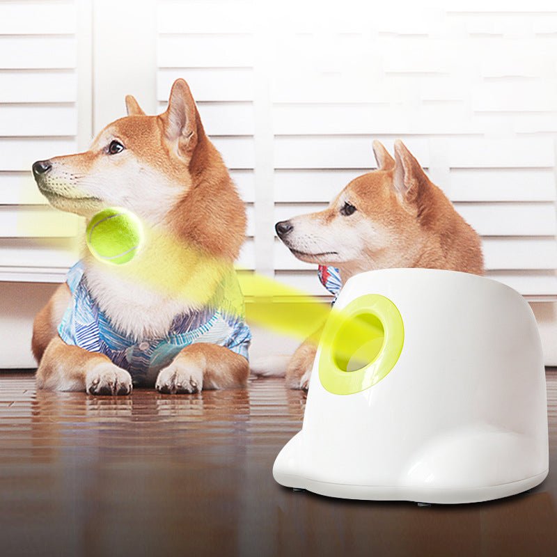 Automatic Throwing Dog Tennis Ball Launcher - Best Buddy Store