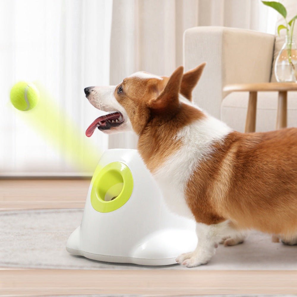 Automatic Throwing Dog Tennis Ball Launcher - Best Buddy Store