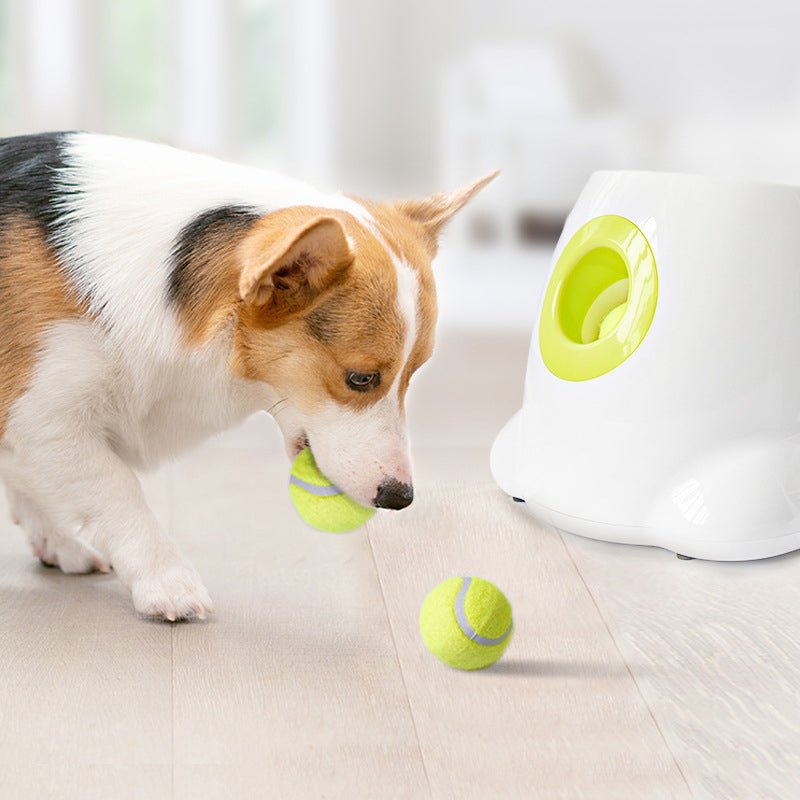 Automatic Throwing Dog Tennis Ball Launcher - Best Buddy Store