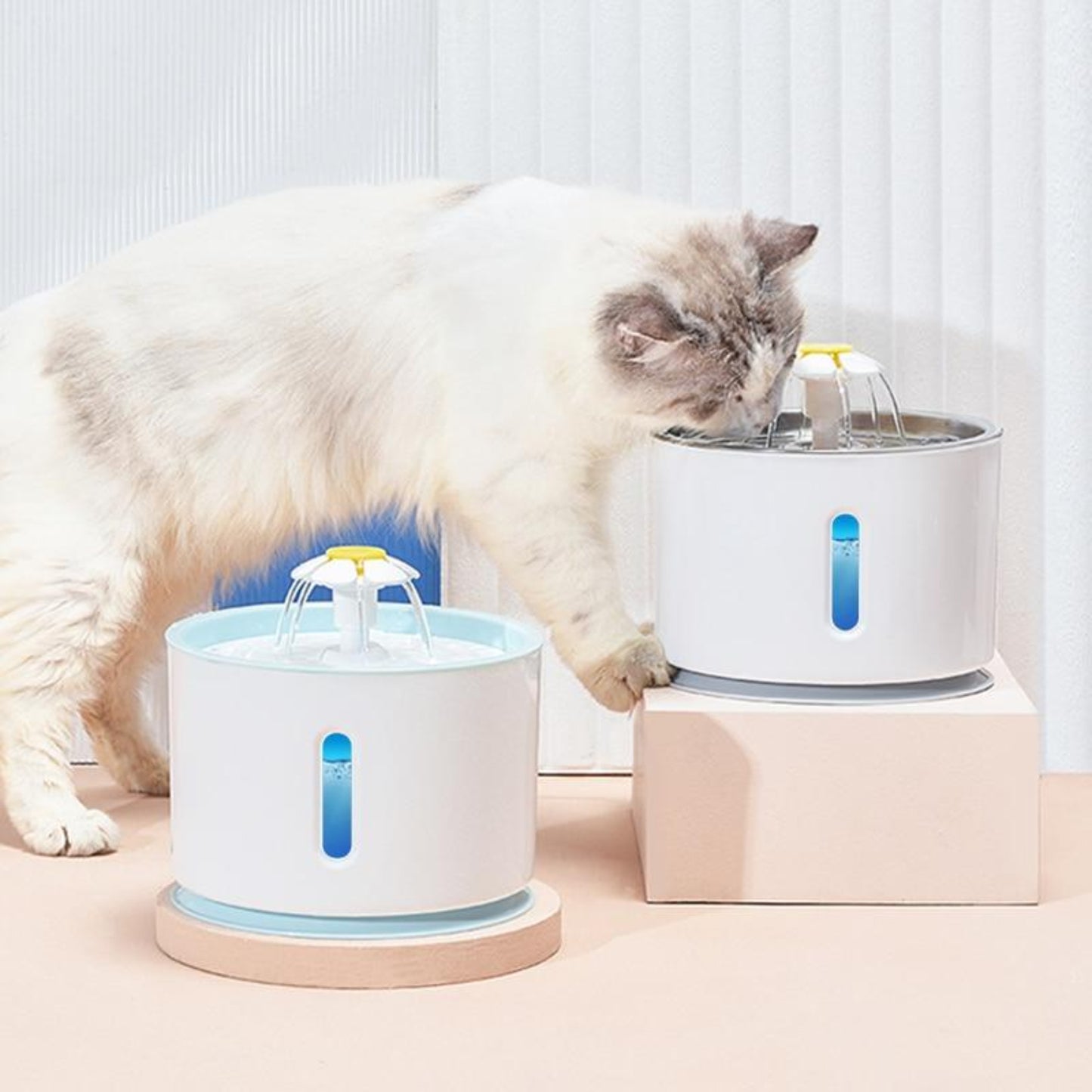 Cat Dog Water Fountain Automatic Drinking Bowl - Best Buddy Store