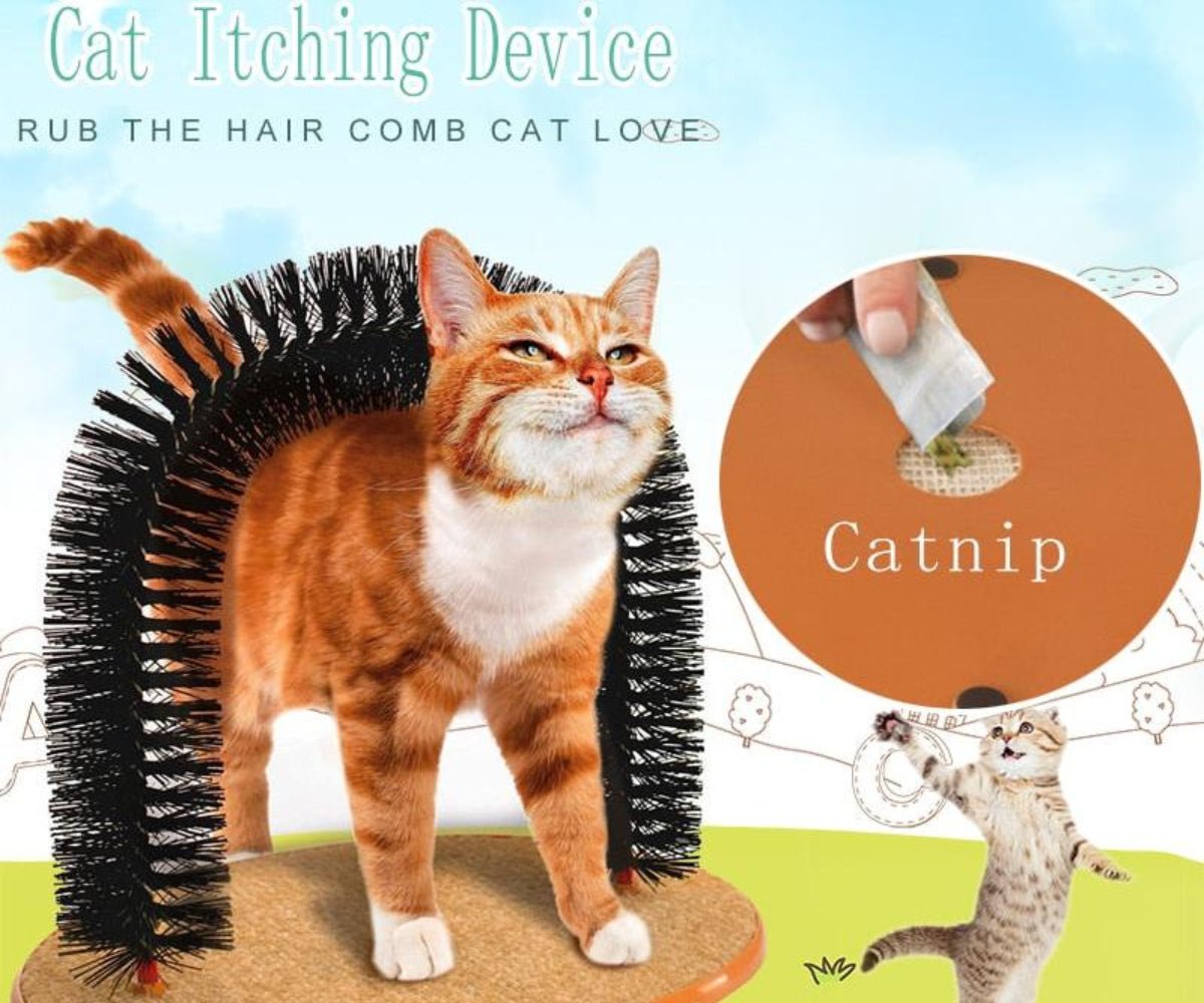 Cat Massager Grooming Scratching Brush - Best Buddy Store