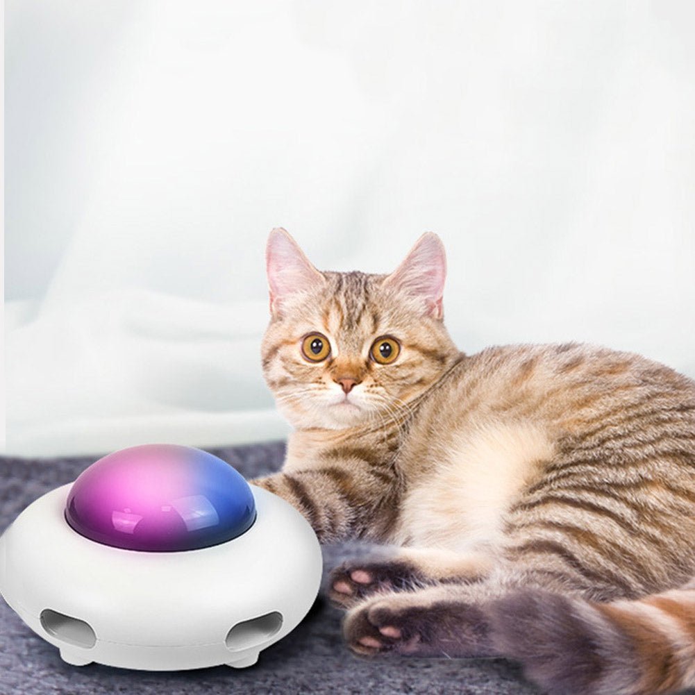 Cat UFO Interactive Teaser Toy - Best Buddy Store