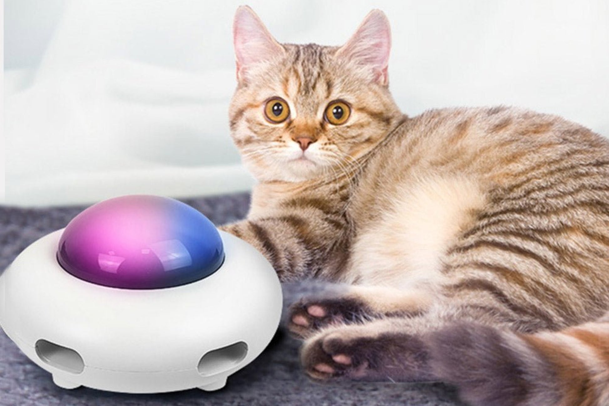 Cat UFO Interactive Teaser Toy - Best Buddy Store