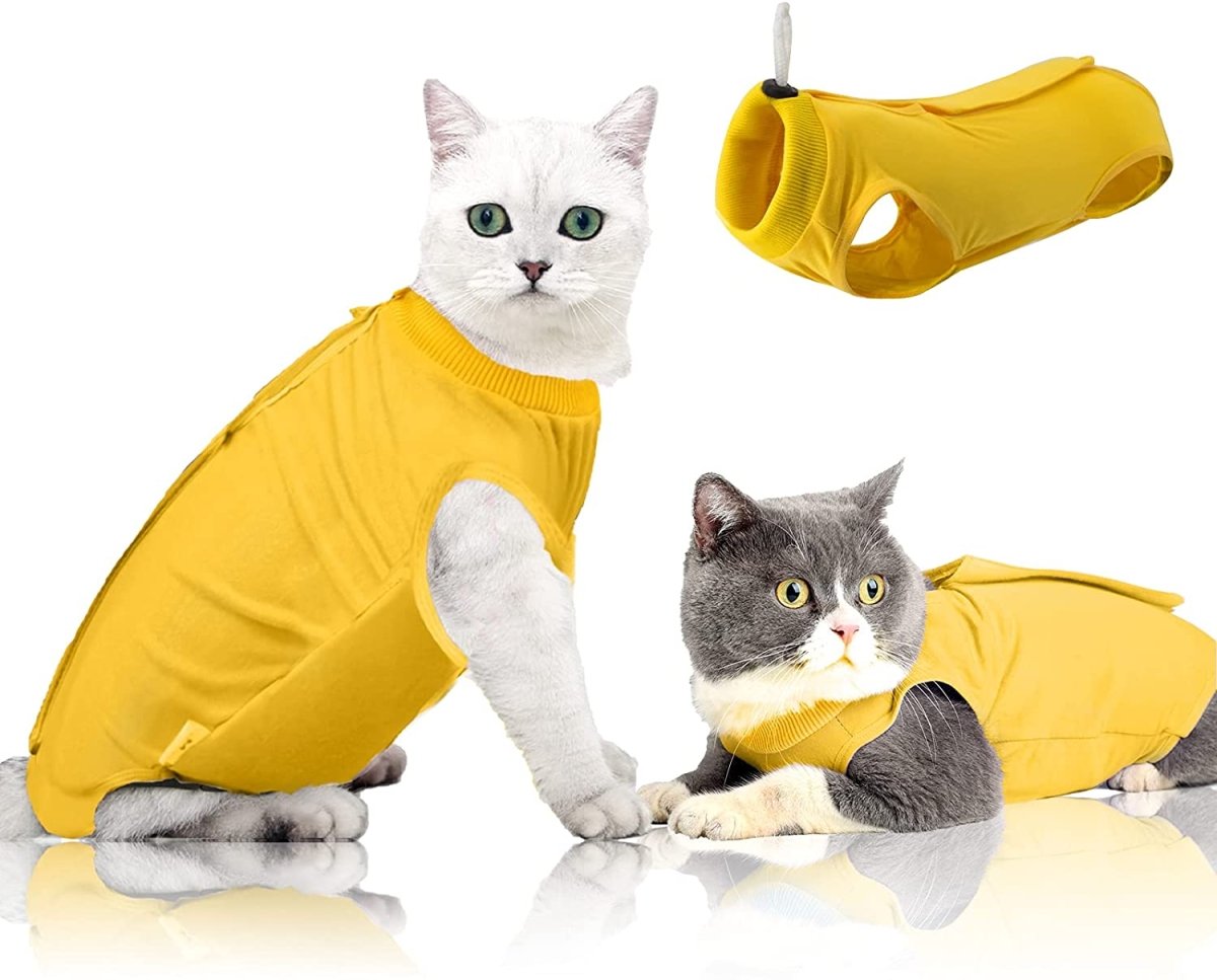 Cat Wound Surgery Recovery Suit - Best Buddy Store
