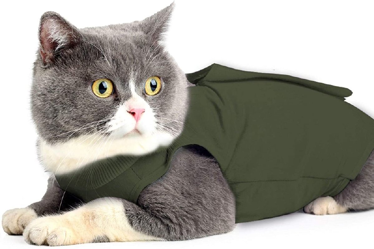 Cat Wound Surgery Recovery Suit - Best Buddy Store