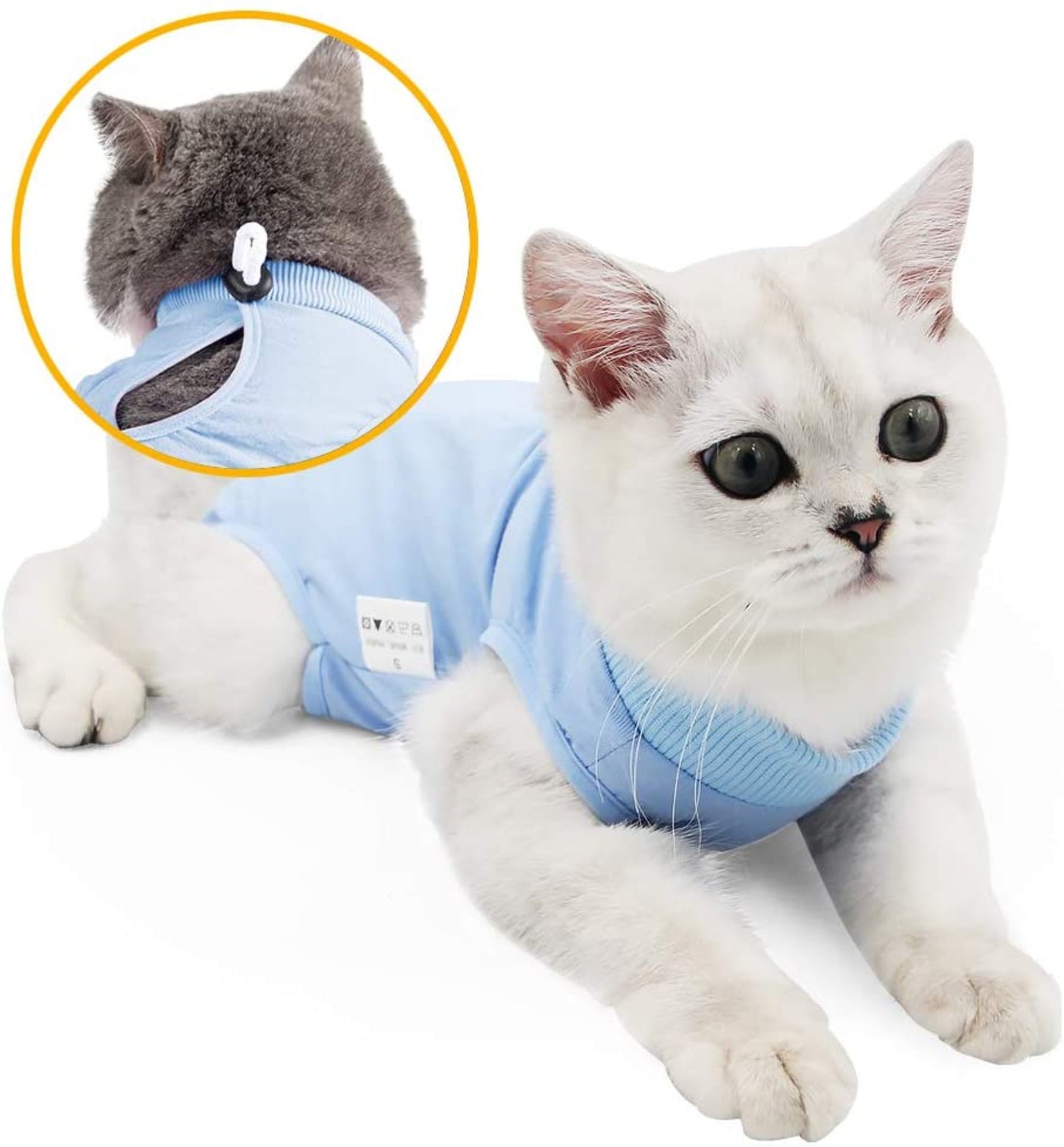 Cat Wound Surgery Recovery Suit - Best Buddy Store