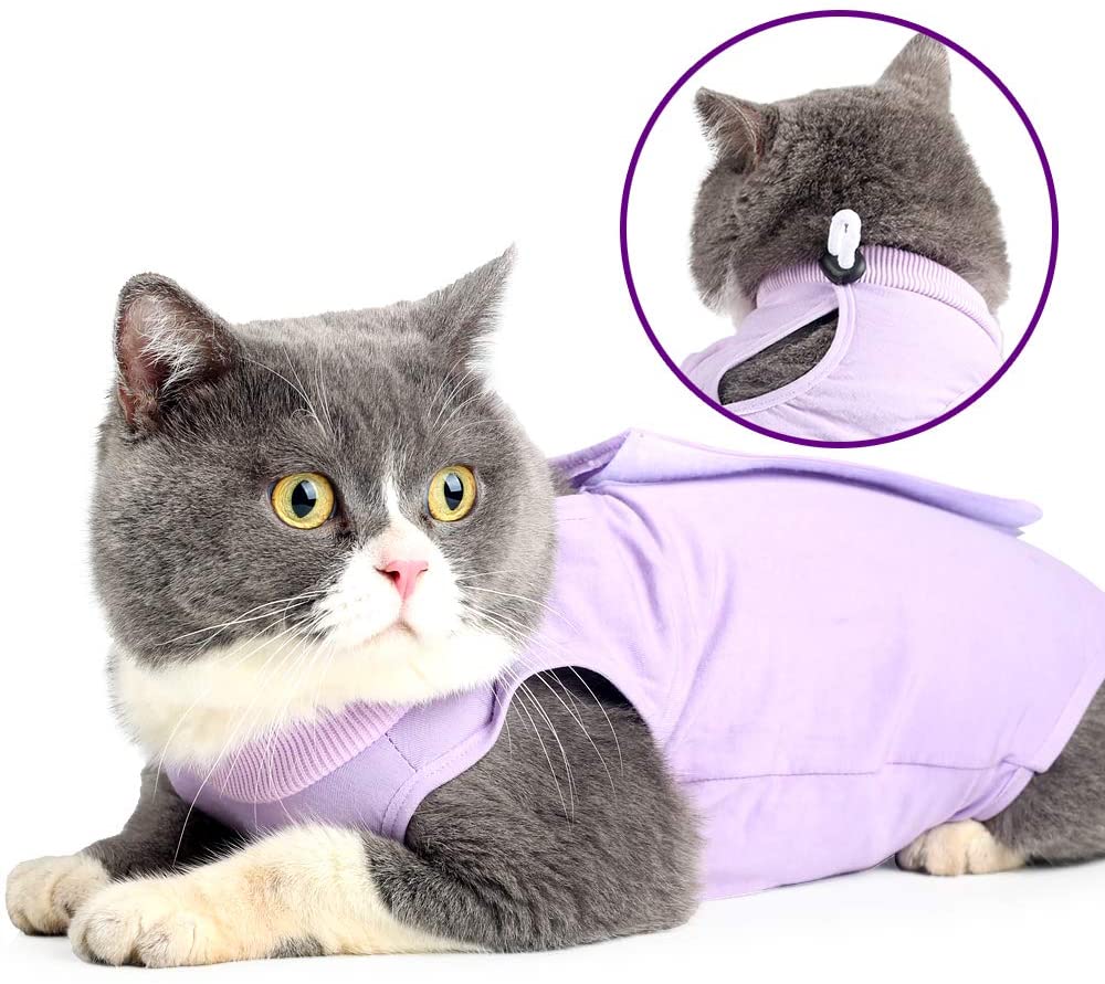 Cat Wound Surgery Recovery Suit - Best Buddy Store