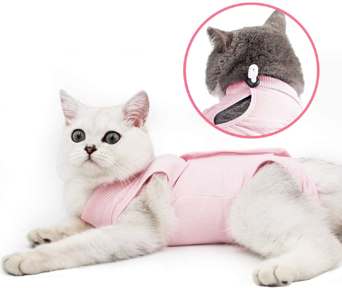 Cat Wound Surgery Recovery Suit - Best Buddy Store