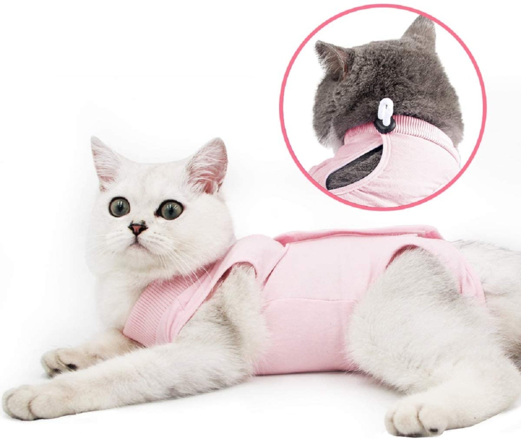 Cat Wound Surgery Recovery Suit - Best Buddy Store