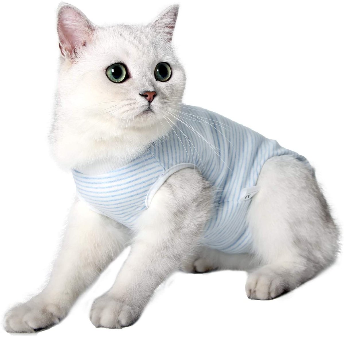 Cat Wound Surgery Recovery Suit - Best Buddy Store