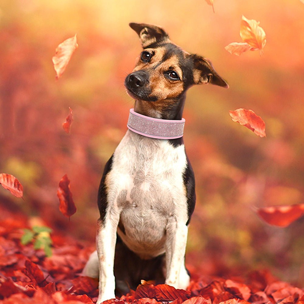 Crystal Reflective Rhinestone Bling Dog Collar - Best Buddy Store