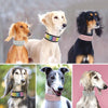 Crystal Reflective Rhinestone Bling Dog Collar - Best Buddy Store