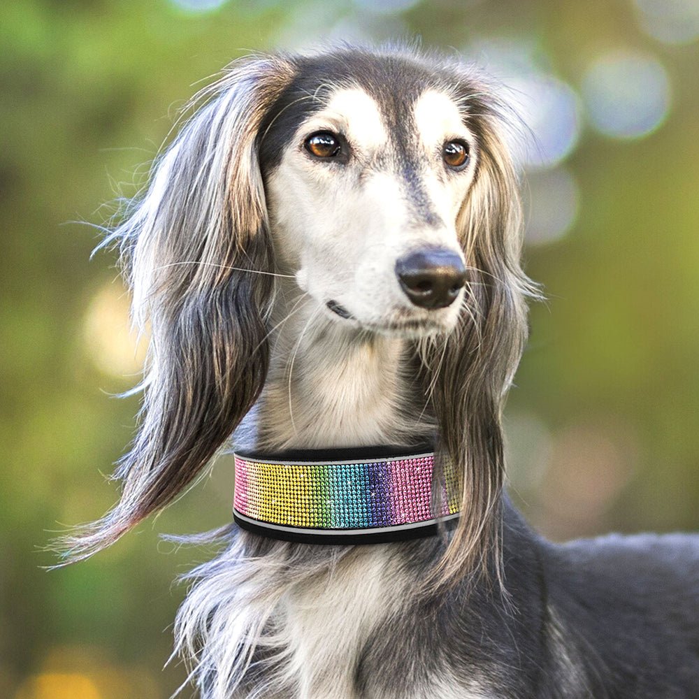 Crystal Reflective Rhinestone Bling Dog Collar - Best Buddy Store