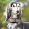 Crystal Reflective Rhinestone Bling Dog Collar - Best Buddy Store