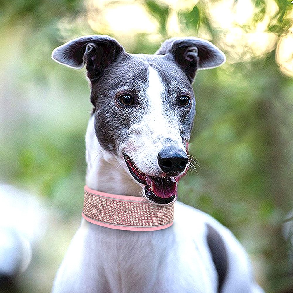 Crystal Reflective Rhinestone Bling Dog Collar - Best Buddy Store