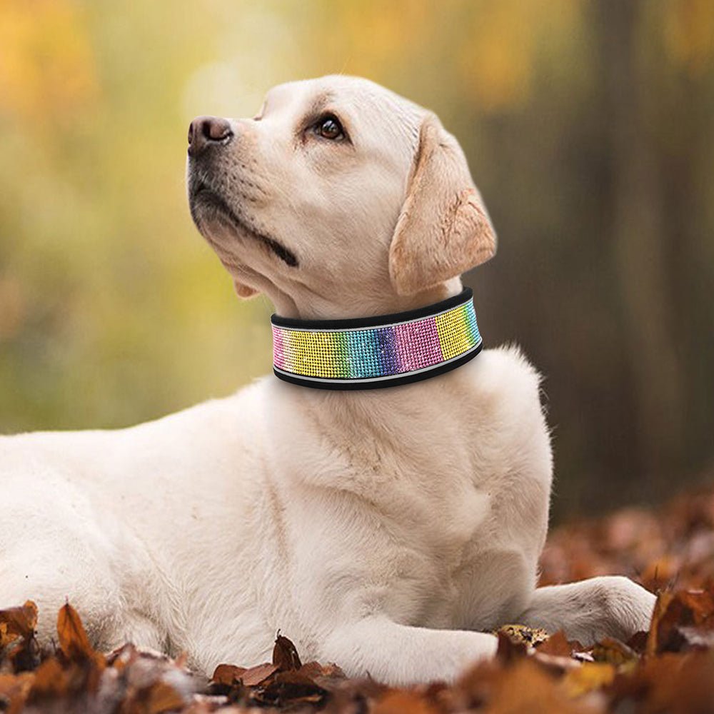 Crystal Reflective Rhinestone Bling Dog Collar - Best Buddy Store