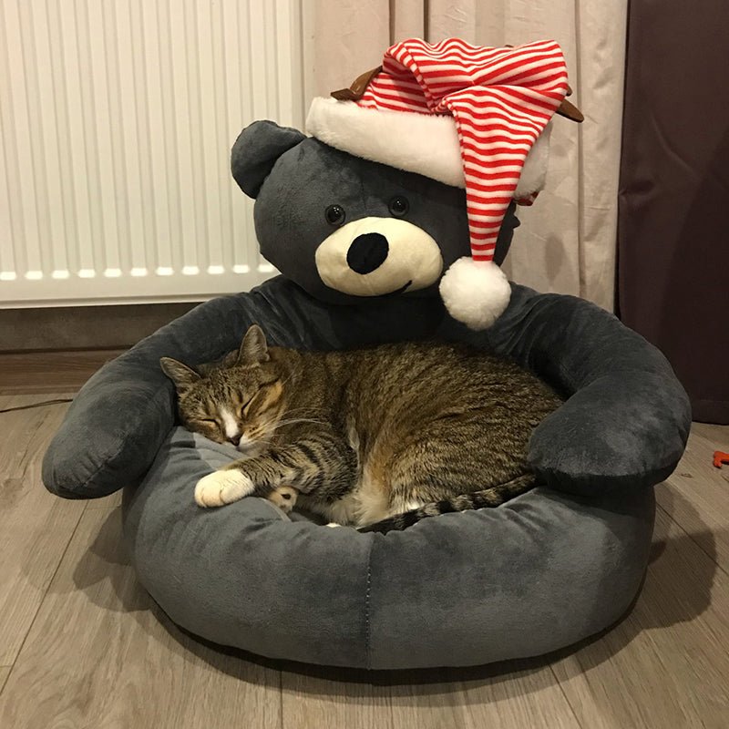 Bear Hug Cuddle Pet Bed - Ultra Cute Comfort Bed - Best Buddy Store