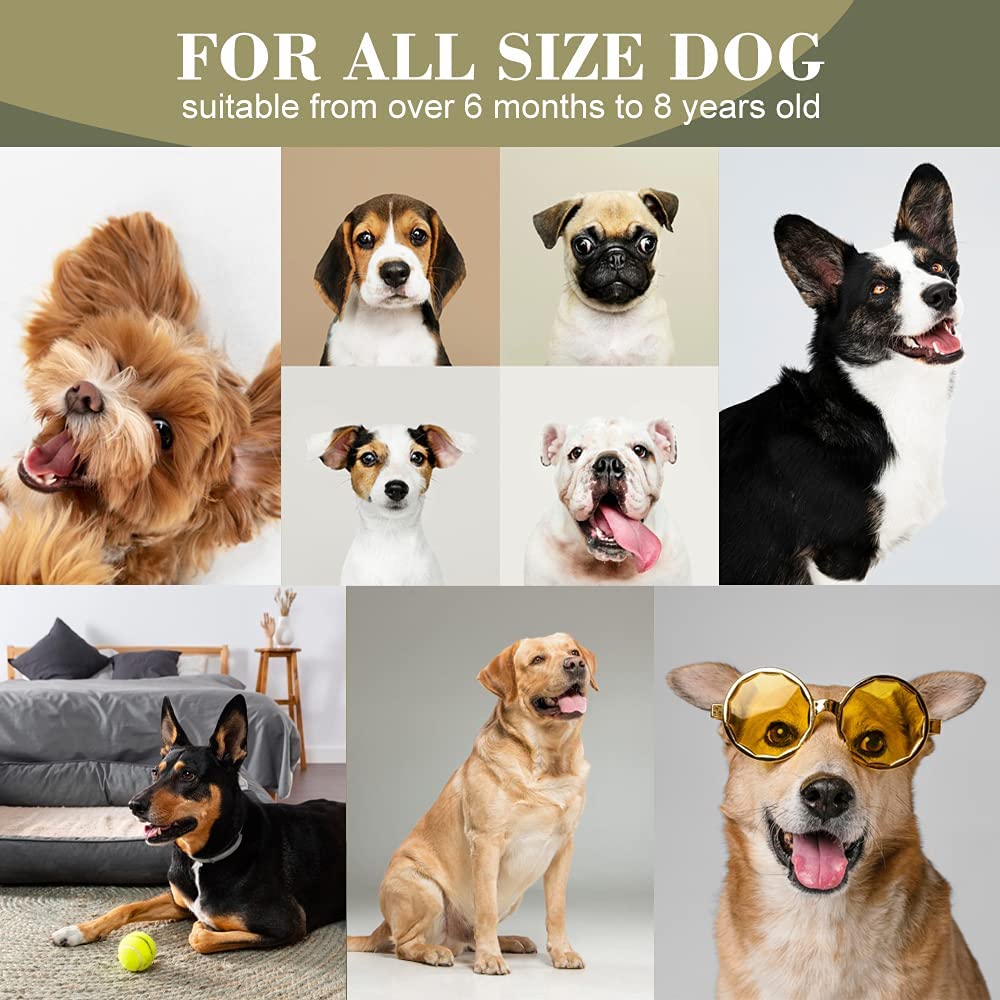 Dog Anti Barking Training Rechargeable Device 3 modes - Best Buddy Store