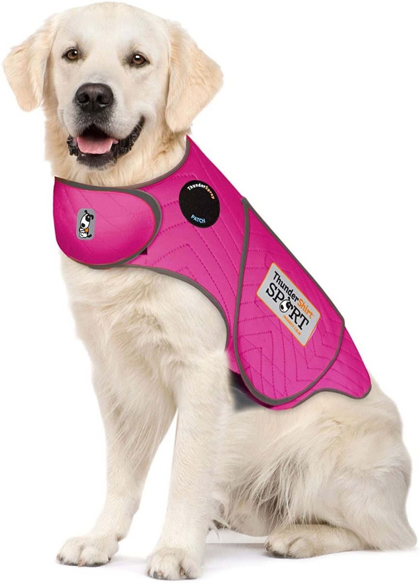 Dog Anxiety Sport Vest Shirt - Best Buddy Store