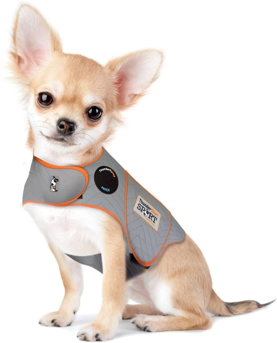 Dog Anxiety Sport Vest Shirt - Best Buddy Store