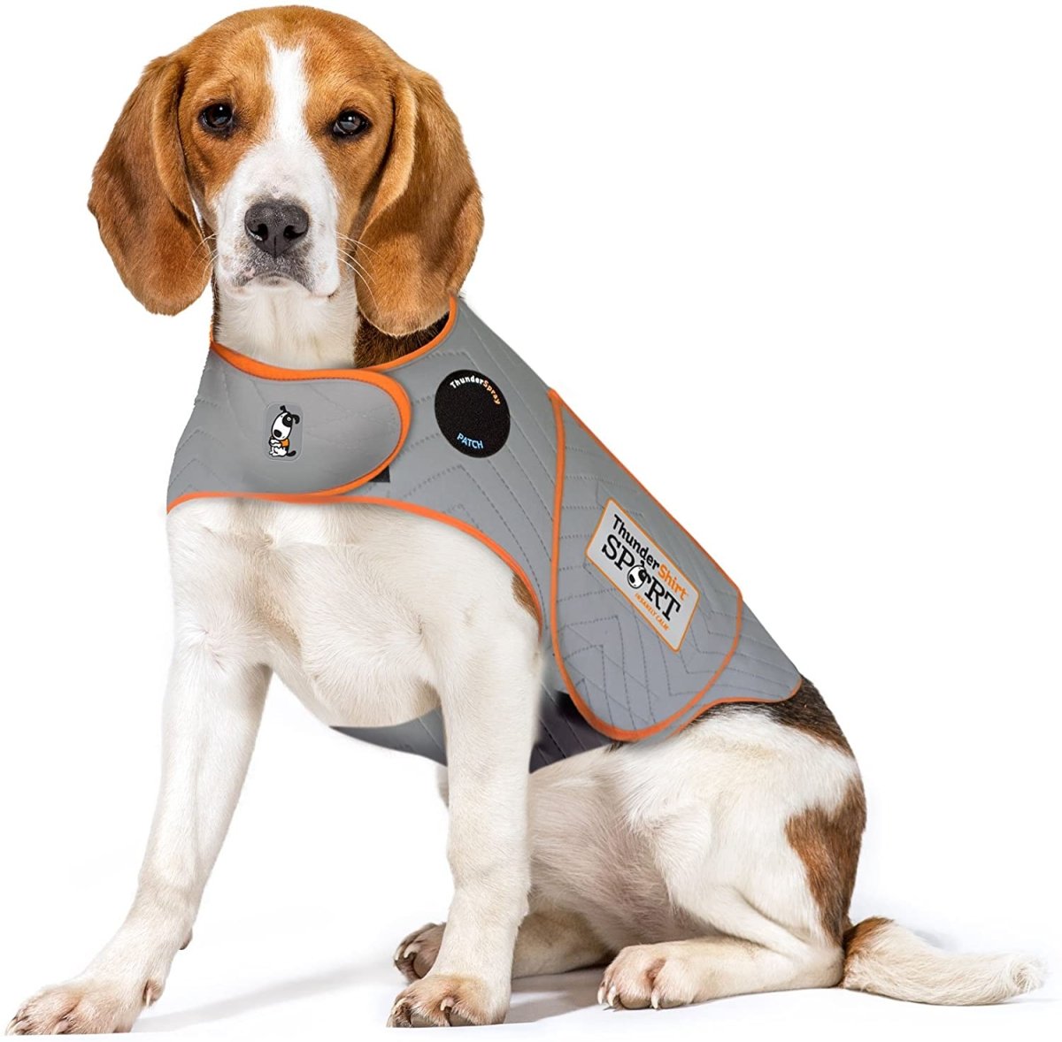 Dog Anxiety Sport Vest Shirt - Best Buddy Store