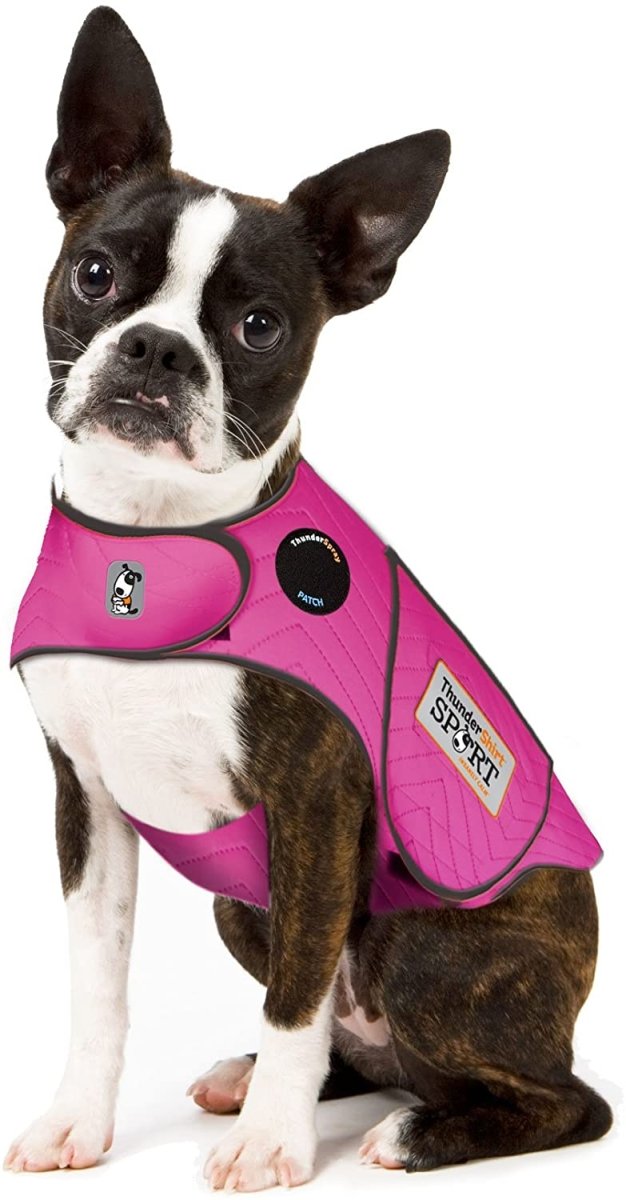 Dog Anxiety Sport Vest Shirt - Best Buddy Store