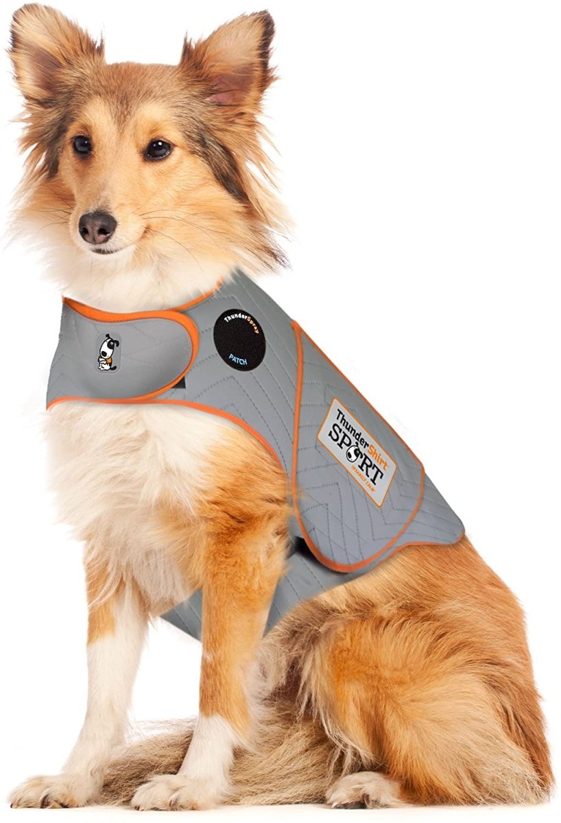 Dog Anxiety Sport Vest Shirt - Best Buddy Store