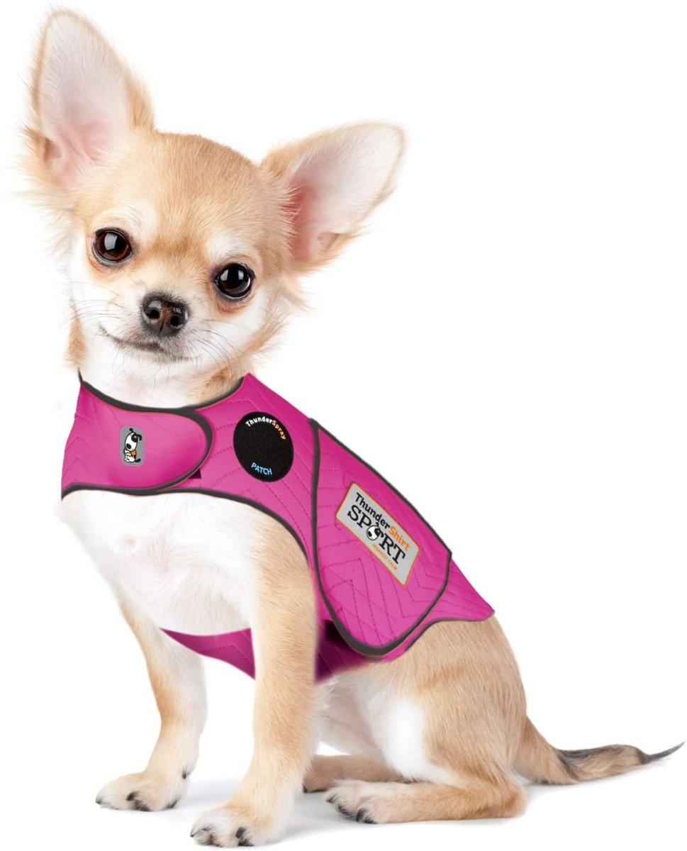 Dog Anxiety Sport Vest Shirt - Best Buddy Store