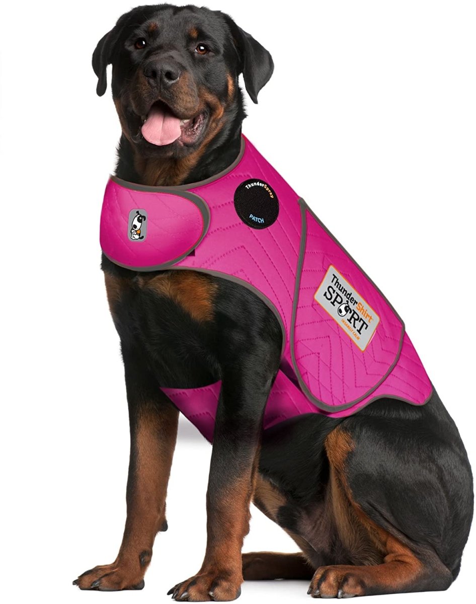 Dog Anxiety Sport Vest Shirt - Best Buddy Store