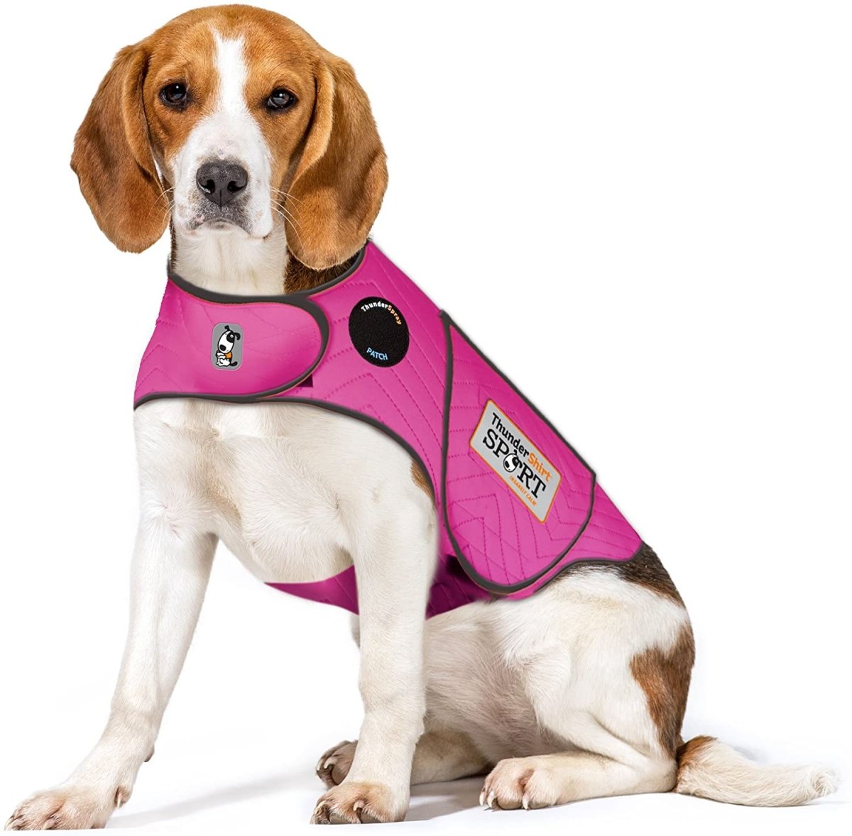 Dog Anxiety Sport Vest Shirt - Best Buddy Store