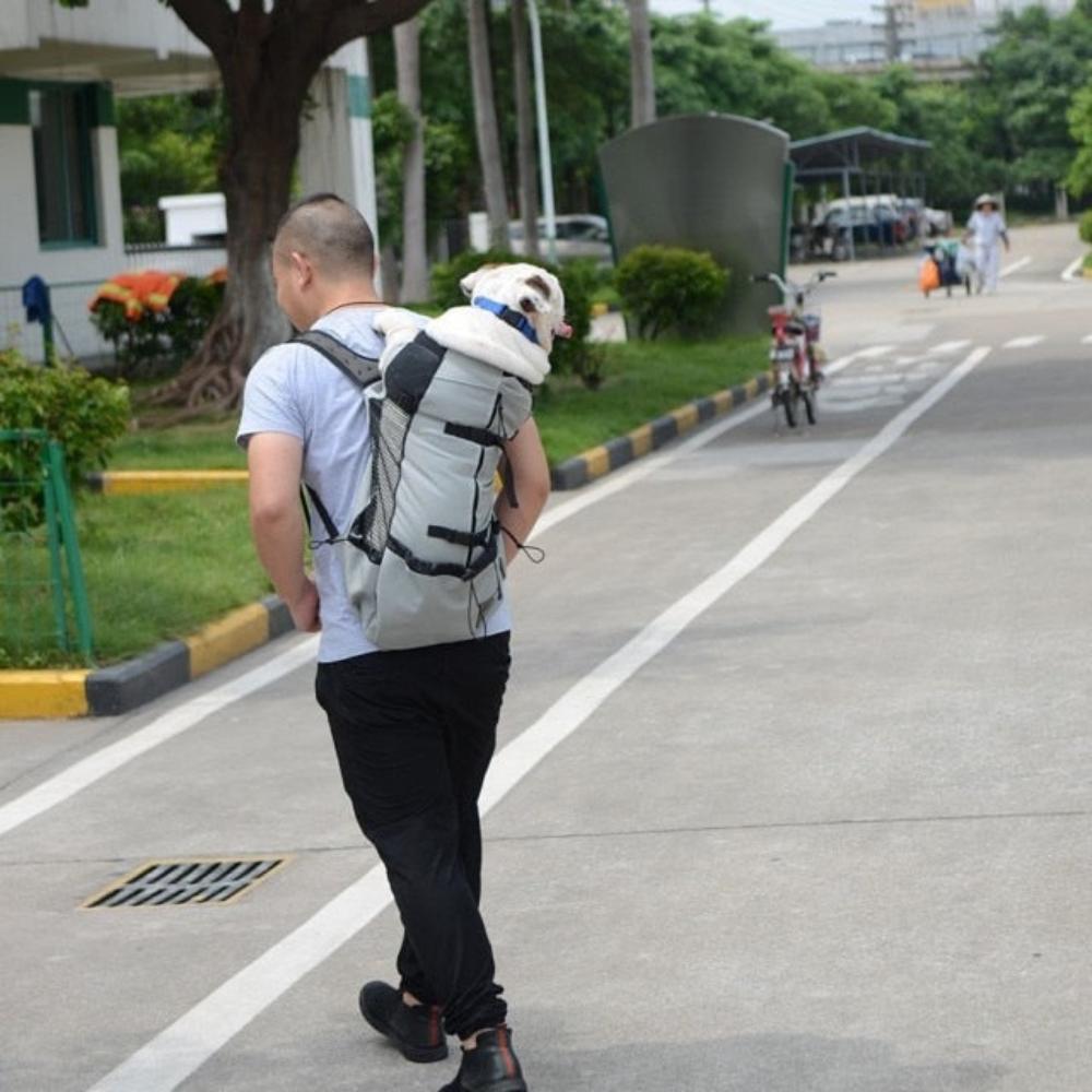 Dog Backpack Carrier Hiking Bag - Best Buddy Store