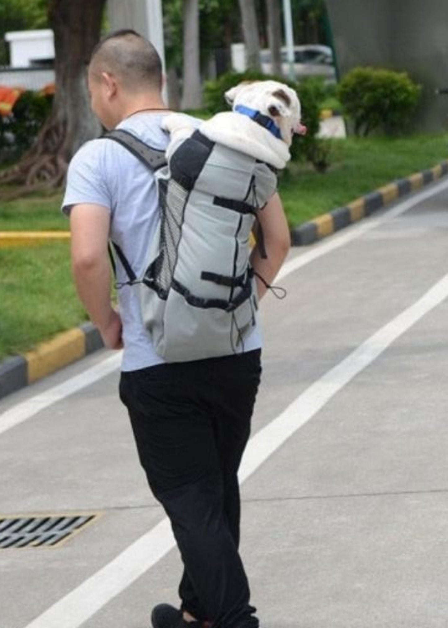 Dog Backpack Carrier Hiking Bag - Best Buddy Store