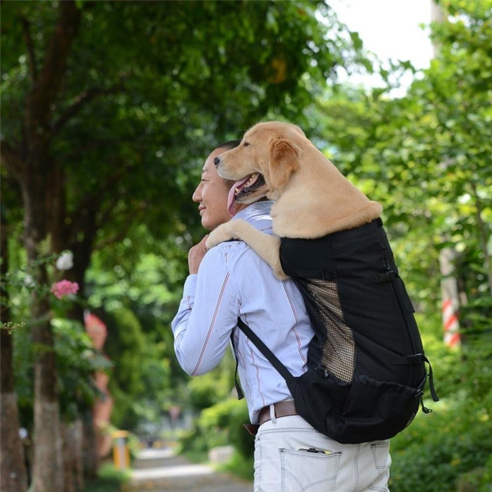 Dog Backpack Carrier Hiking Bag - Best Buddy Store
