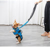 Dog Chest Carrier Harness Backpack with Walking Lead - Best Buddy Store